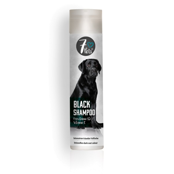 1-24188-01-pb_250ml_black-shampoo_310065