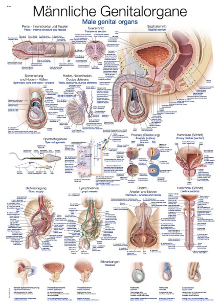 1-20114-AL123_523