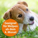 3-23086-01-ardap-spot-on-faltschachtel-hunde-ueber-25kg-vorne-600x600-1.jpg