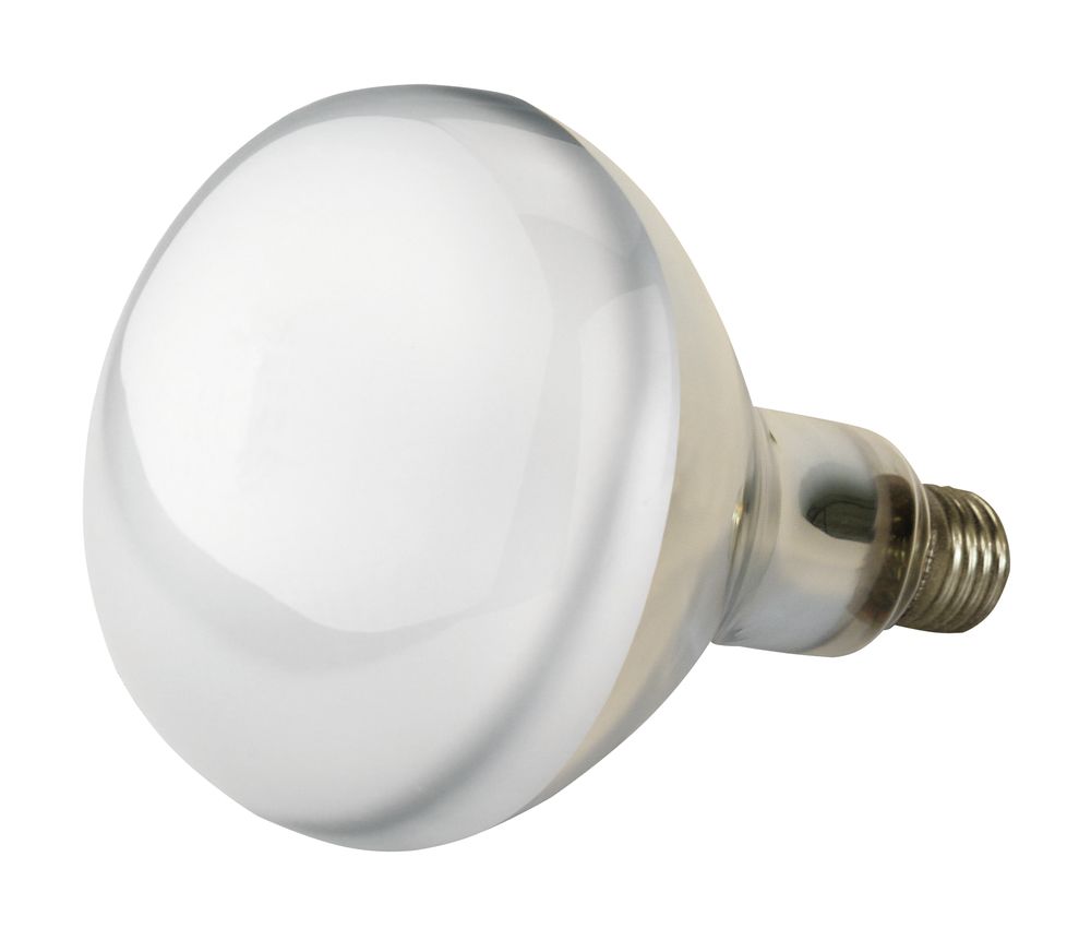 1-23465-03-150W-klar-Hartglas-Infrarotlampe.jpg