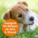 3-23084-01-ardap-zecken-und-flohschutz-halsband-hunde-bis-10kg.jpg