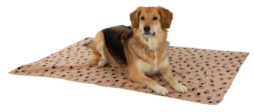 2-22689-02-Pfotenmuster-beige-Hundedecke-Stella.jpg