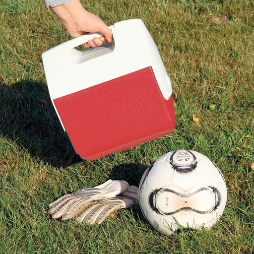 [20908-01] SERVOPRAX Servosport Cool Box empty