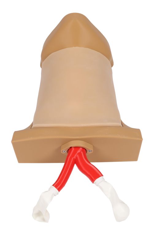 ERLERZIMMER Crico Chris Cricothyrotomy Task Trainer