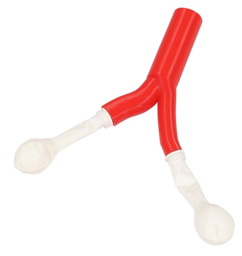 [25548-01] ERLERZIMMER Crico Chris Replacement Airway