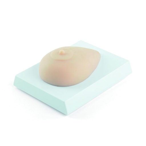 [14789-01] HEINESCIENTIFIC Simulation model for training breast examination