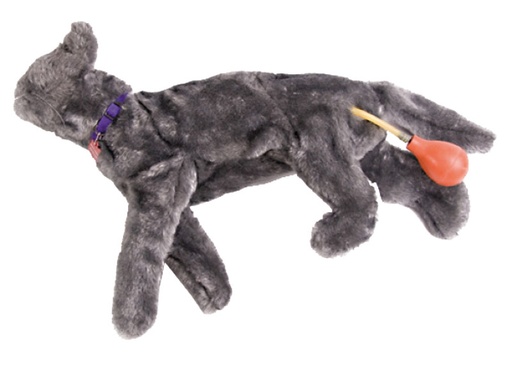 [22653-01] ERLERZIMMER Fluffy Cat CPR Practice Model