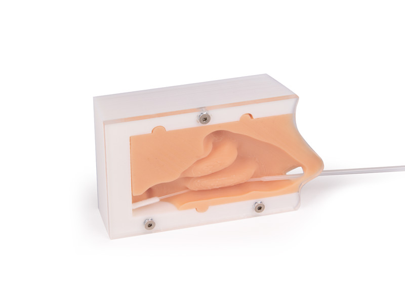 ERLERZIMMER Covid Test Trainer, Nasal Swab Trainer Basic