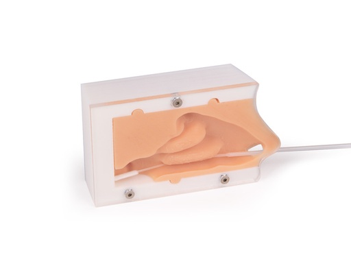 [23421-01] ERLERZIMMER Covid Test Trainer, Nasal Swab Trainer Basic