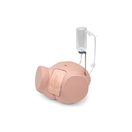 [23460-01] 3B SCIENTIFIC Catheterization simulator PRO, female