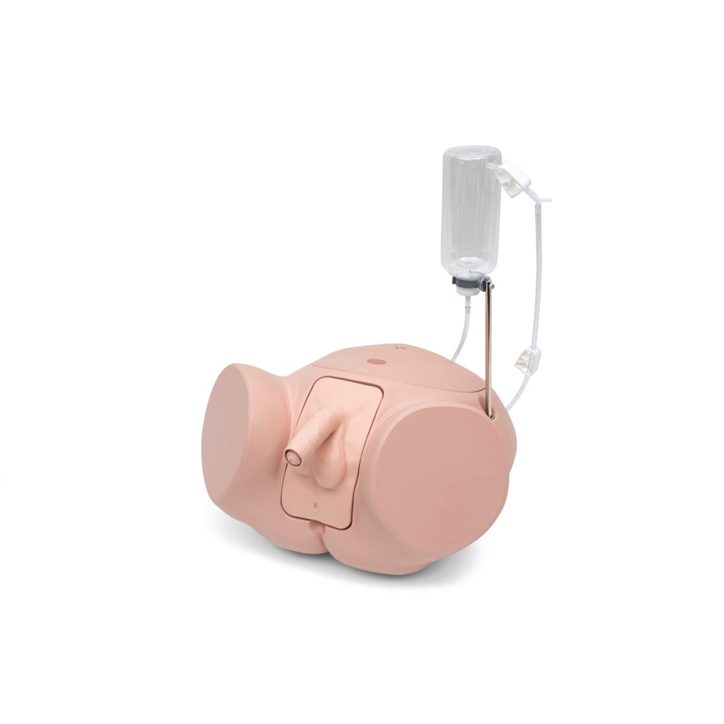 3B SCIENTIFIC Catheterization simulator PRO, male