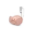 3B SCIENTIFIC Catheterization simulator PRO, male