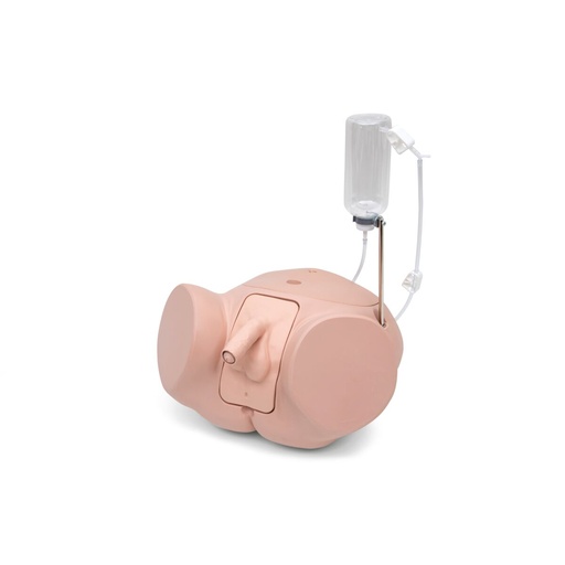 [23461-01] 3B SCIENTIFIC Catheterization simulator PRO, male