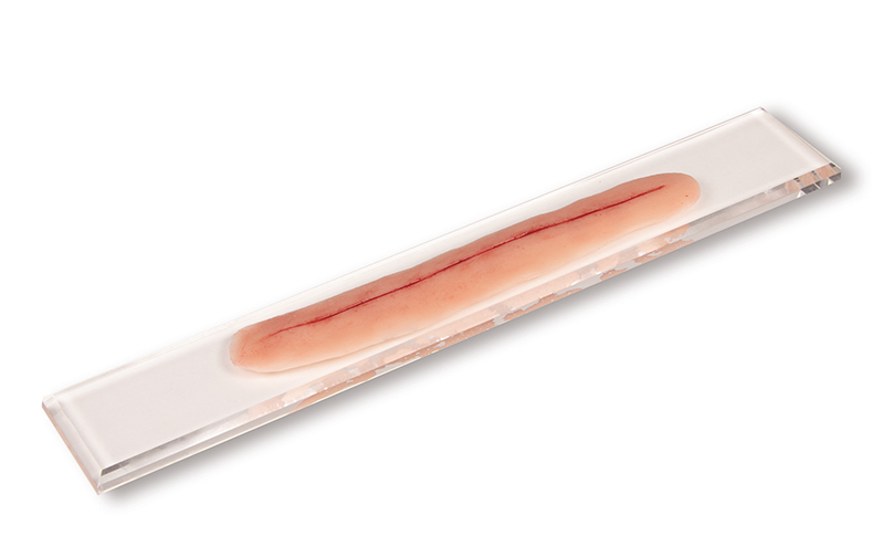 ERLERZIMMER Op Wunde, ohne Naht 22 cm zum selbst nähen