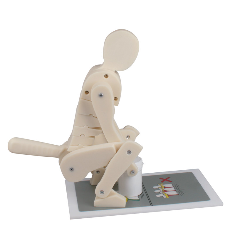 ERLERZIMMER Demonstration Figure Correct and Incorrect Lifting