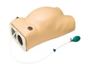 ERLERZIMMER Pregnancy Examination Model with Heart Sound Simulation