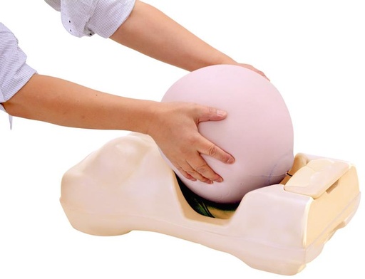 [24603-01] ERLERZIMMER Pregnancy Examination Simulator