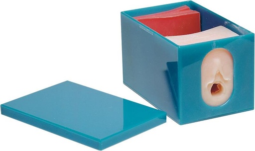 [24605-01] ERLERZIMMER Geburtsfortschritts- & Fetalüberwachungs-Modellset