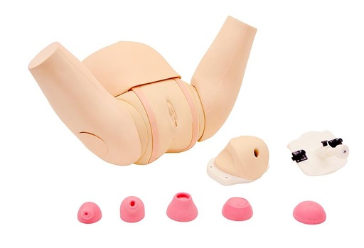 [24607-01] ERLERZIMMER Cervix - Examination - Simulator