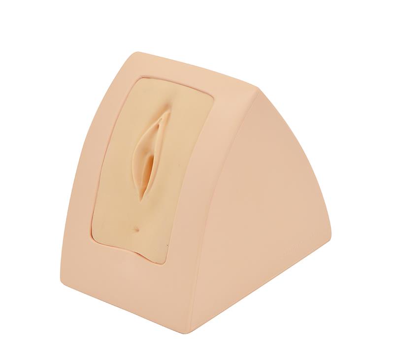 ERLERZIMMER Perineal Repair - Simulator