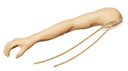 ERLERZIMMER Arm for intravenous injection for Nursing Manikin