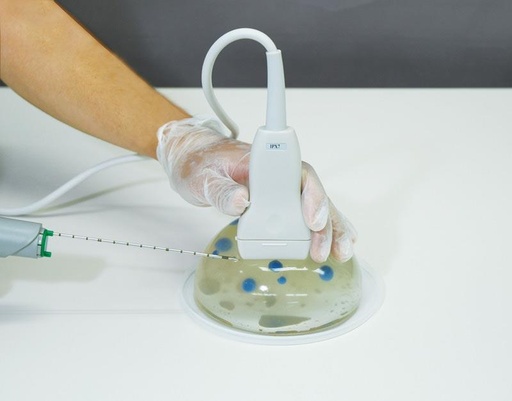 [24626-01] ERLERZIMMER Ultraschallgestütztes Brustbiopsie-Phantom