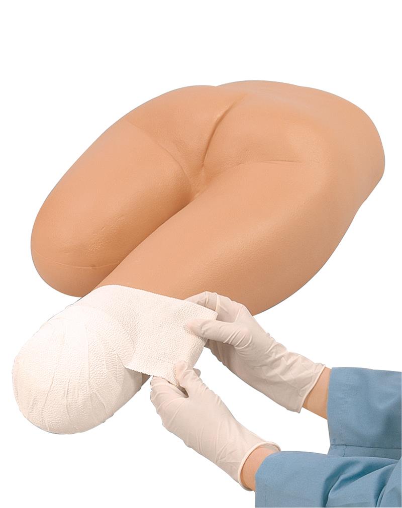 ERLERZIMMER Stump Bandaging Trainer Lower Body