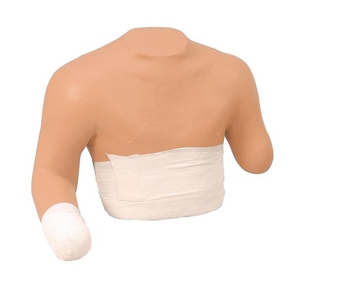 [24630-01] ERLERZIMMER Stump Bandaging Trainer Upper Body