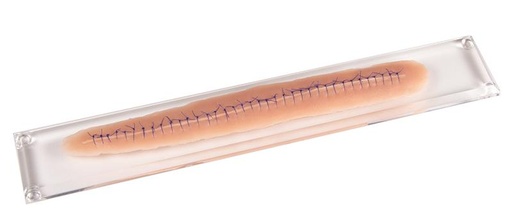 [24633-01] ERLERZIMMER Surgical Wound, with suture, 22cm