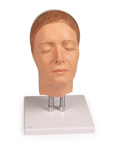 [24647-01] ERLERZIMMER Head for Facial Injections, Version A
