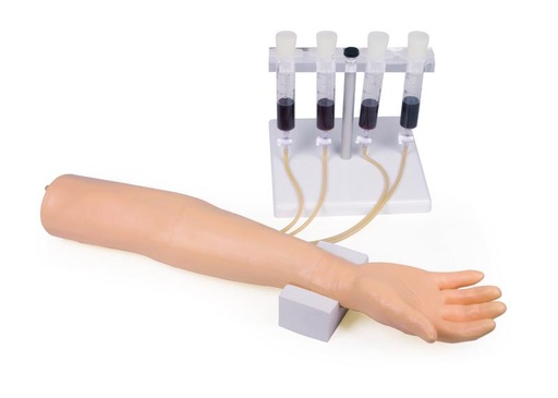 [24649-01] ERLERZIMMER Trainingsarm für intravenöse,Injektion und Infusion
