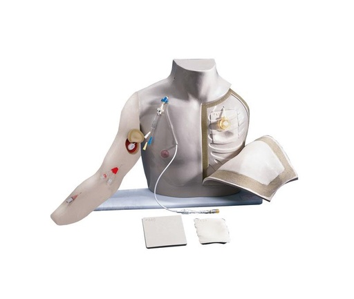 [24655-01] ERLERZIMMER Chester Chest mit erweitertem Arm