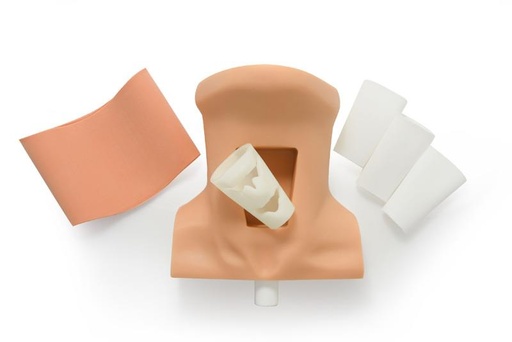 [24659-01] ERLERZIMMER Cricothyrotomy Trainer