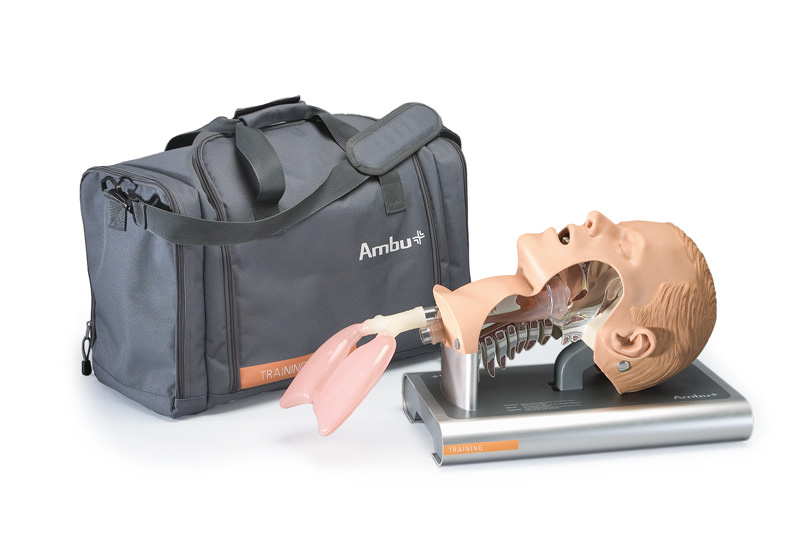 ERLERZIMMER Airway Management Trainer Adult