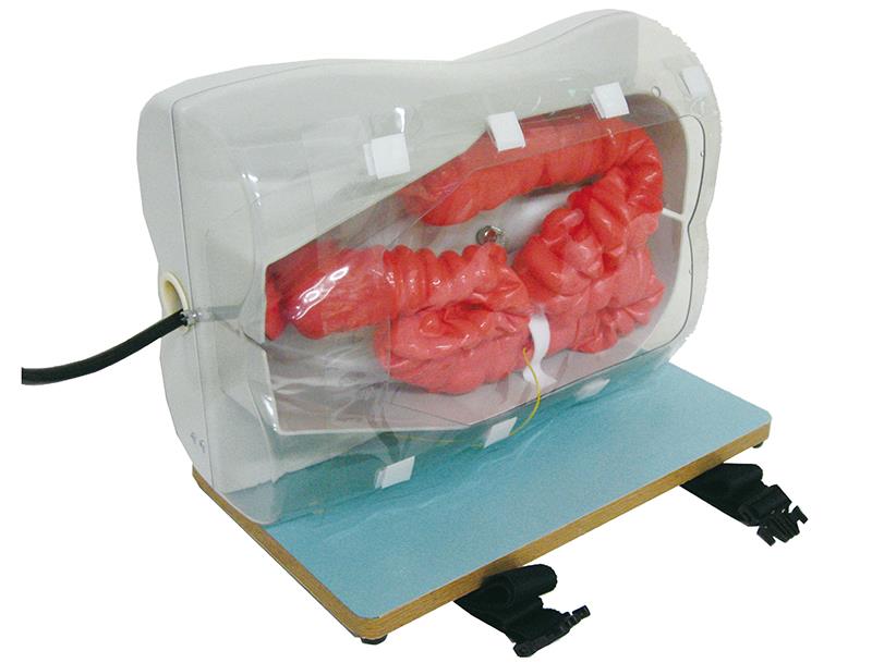 ERLERZIMMER Colonoscopy Simulator