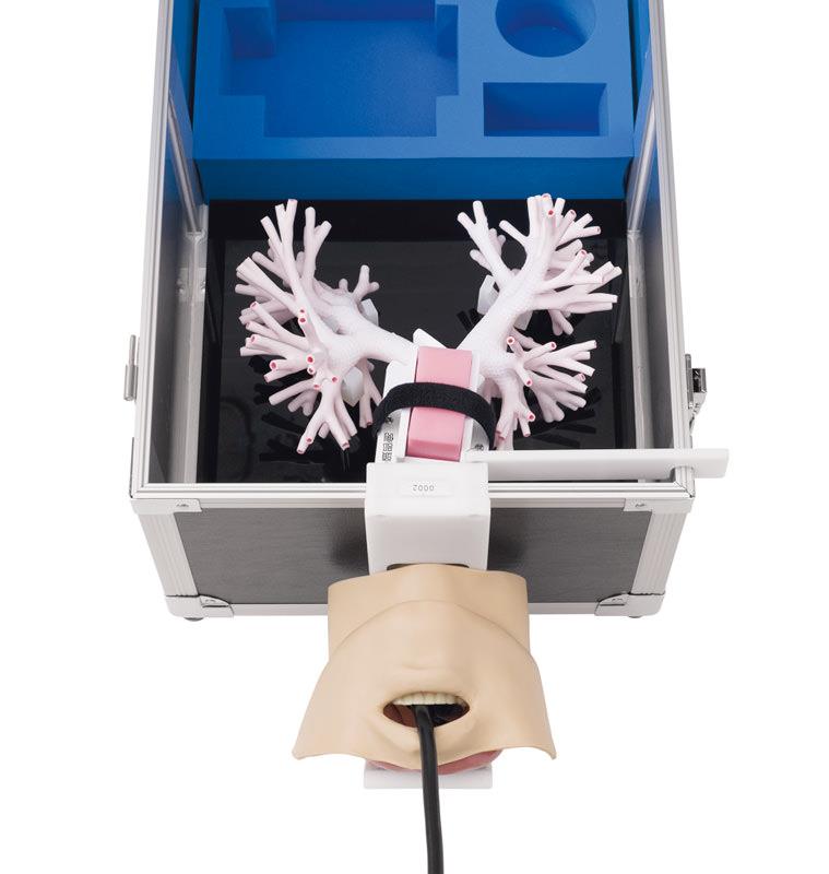 ERLERZIMMER Ultrasound Bronchoscopy Trainer