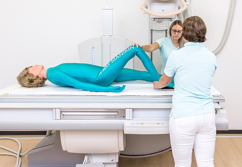 ERLERZIMMER Full Body X-Ray Phantom