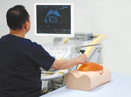 [24717-01] ERLERZIMMER Ultrasound Examination Phantom Fetus