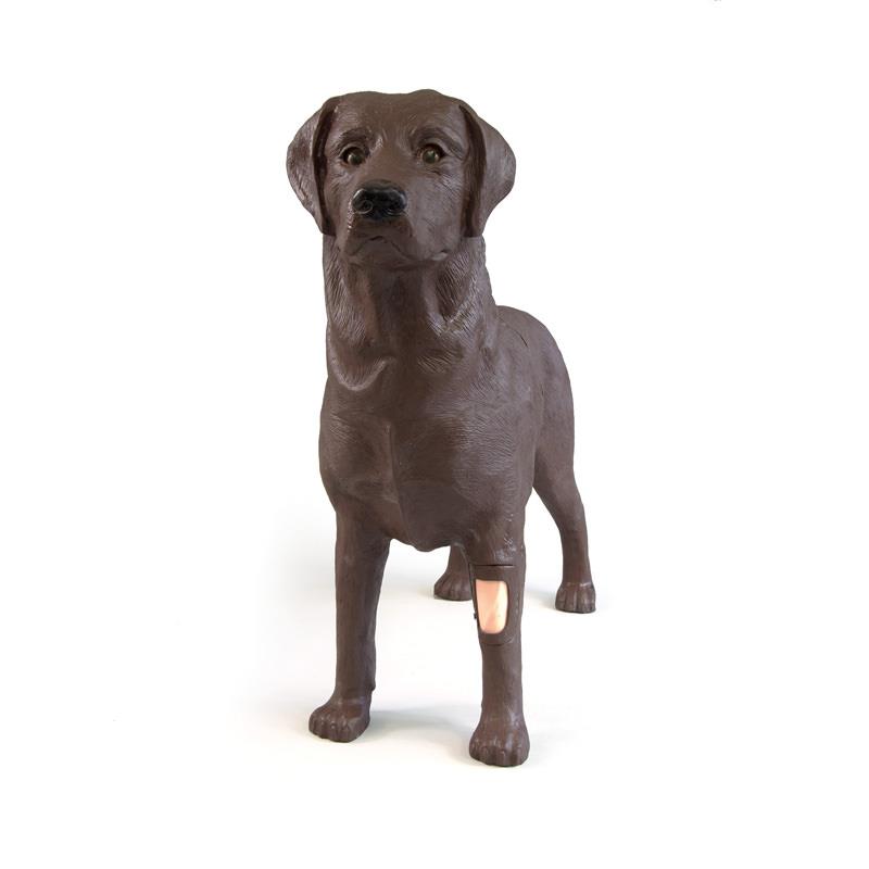 ERLERZIMMER Gynecological Practice Dog Bella