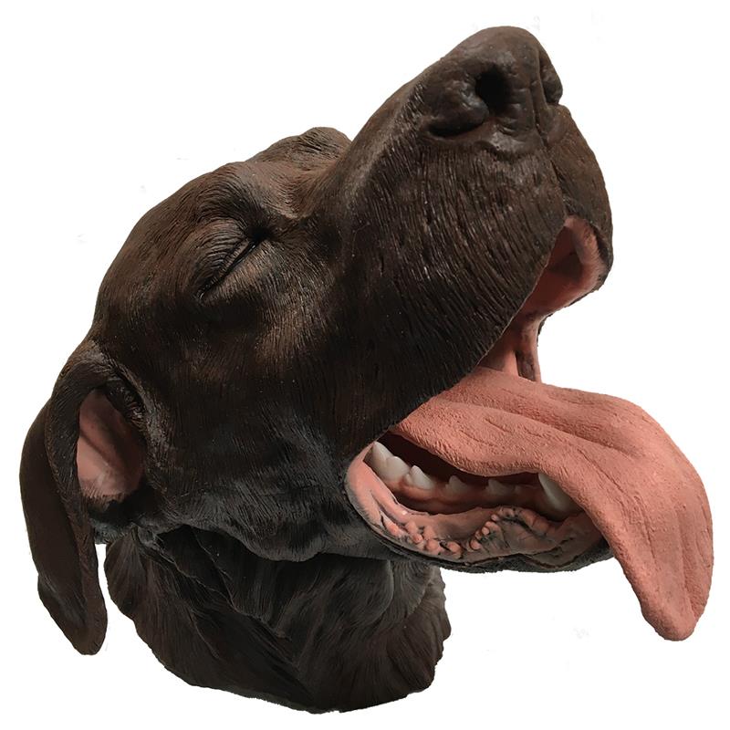ERLERZIMMER Surgical Dental Model Dog