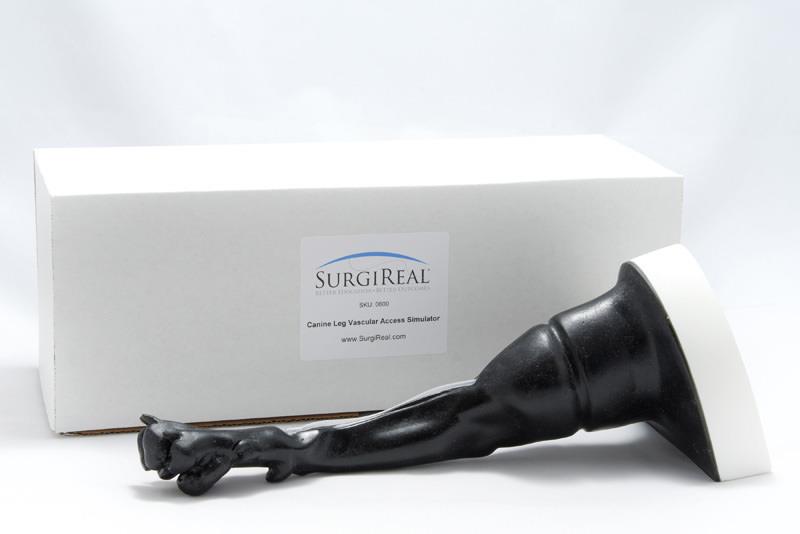 ERLERZIMMER Hundebein Gefäßzugangssimulator