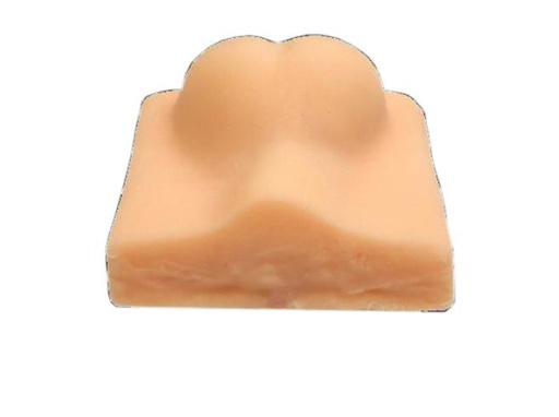 [24956-01] ERLERZIMMER Simulationsmodell Hunde Kastration