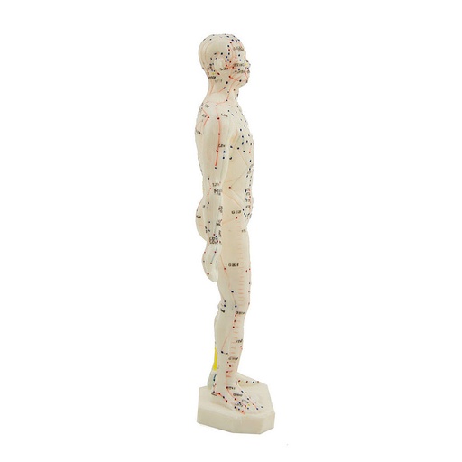[27016-01] HEINESCIENTIFIC Small acupuncture figure