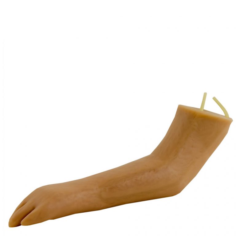 HEINESCIENTIFIC Dog paw injection trainer