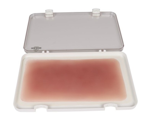 [27404-01] ERLERZIMMER Wound Moulage Burn 1st Degree