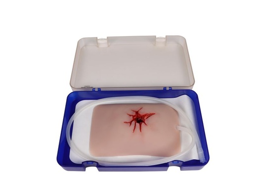 [27412-01] ERLERZIMMER Wound Moulage Gunshot Groin, Wound Packing