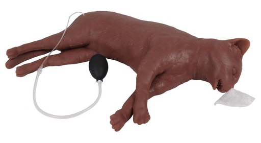 [27421-01] ERLERZIMMER Katzen-HLW-Puppe "CaPpeR"