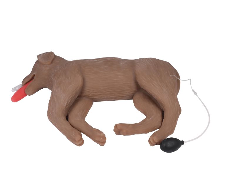 ERLERZIMMER HLW Übungshund „CooPeR“