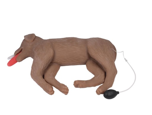 [27483-01] ERLERZIMMER HLW Übungshund „CooPeR“