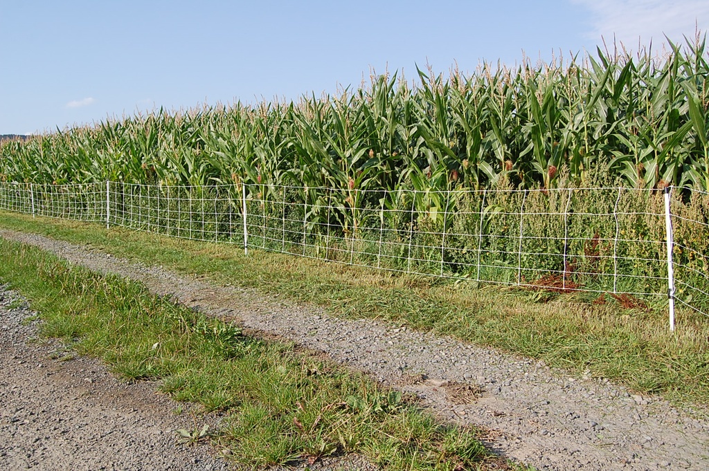 GÖBEL Euro Wild Boar Net